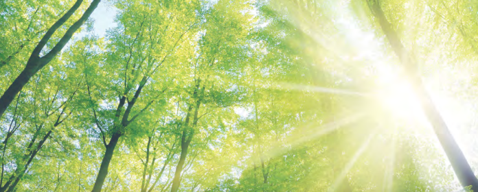 サステナビリティ SUSTAINABILITY
